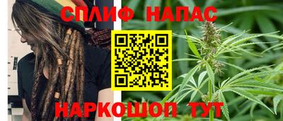 прущие грибы Краснокаменск