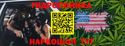 эйфоретик Краснодар